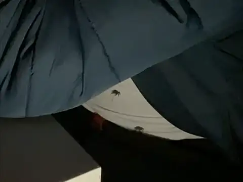 Snapshot of tomazu11 chatting on 10.26.25 tomazu11 online show from 10.26.25