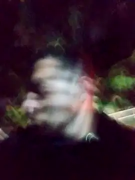 mis312 online show from 03.04.25