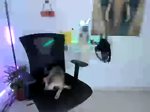 Snapshot of nairobbits chatting on 10.09.25 nairobbits online show from 10.09.25