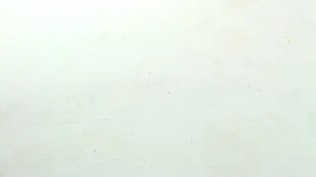 sinay024 online show from 02.27.26