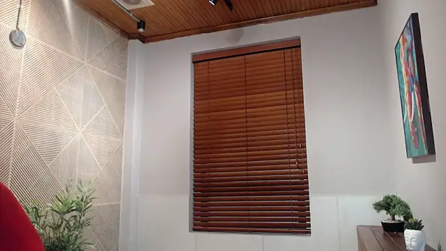 Snapshot of Ian_Daviz chatting on 03.18.25 Ian Daviz online show from 03.18.25