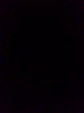 WrongedParvo online show from 10.19.25