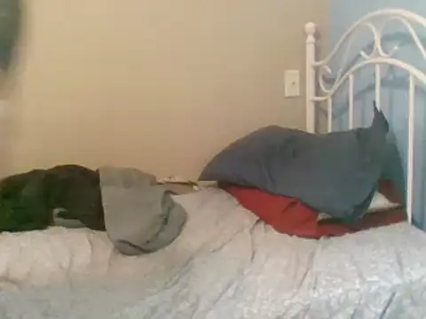 SmokingSloth online show from 03.09.25