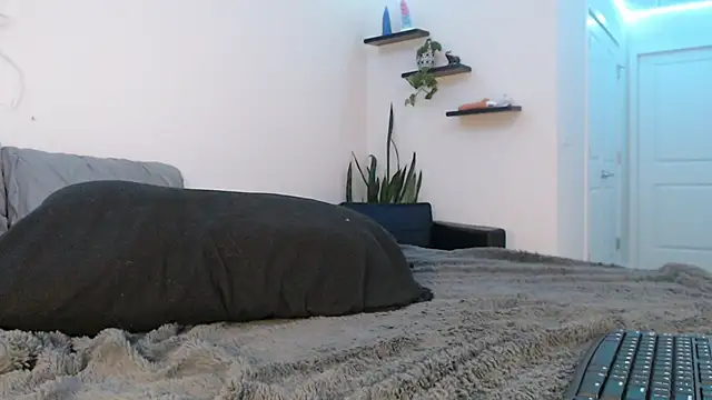 fallongrayxo online show from 03.08.25