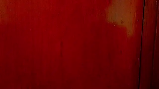 anisha x online show from 10.01.25