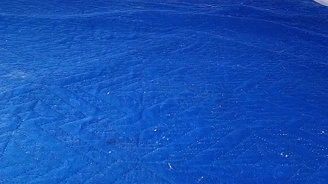 anisha x online show from 10.25.25