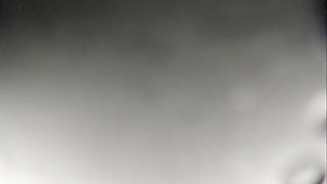 JANER 03 online show from 01.19.25