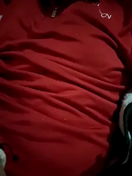 CuriousBear online show from 04.29.26