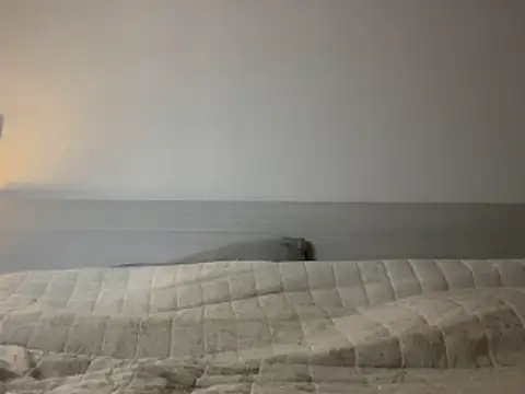 Snapshot of Diletta21 chatting on 02.11.26 Diletta21 online show from 02.11.26