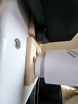 rocksrockydick online show from 11.17.25