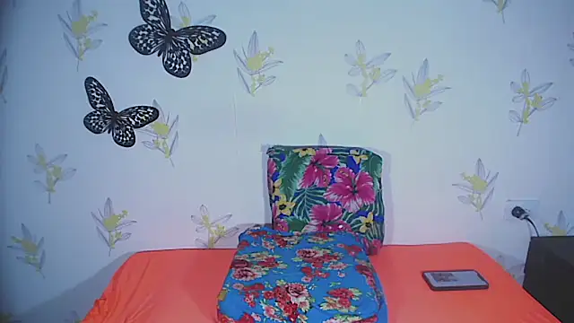 Snapshot of SammyBichota chatting on 02.19.25 SammyBichota online show from 02.19.25