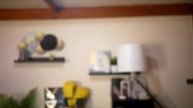 Bellis Perenis online show from 02.11.26