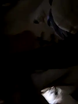 Snapshot of Sweet-Angel999 chatting on 11.30.25 Sweet-Angel999 online show from 11.30.25