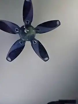 honeymex online show from 09.18.25