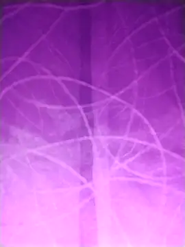 Nik888Nik888 online show from 02.02.25