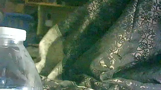 DI4MOND FIR3 online show from 03.17.26