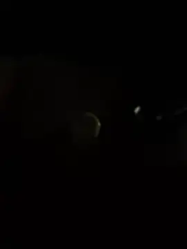 TattMan13 online show from 03.14.26