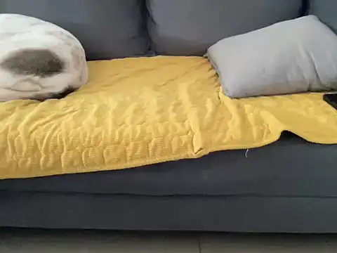 Snapshot of 4small4inchlol chatting on 10.13.25 4small4inchlol online show from 10.13.25