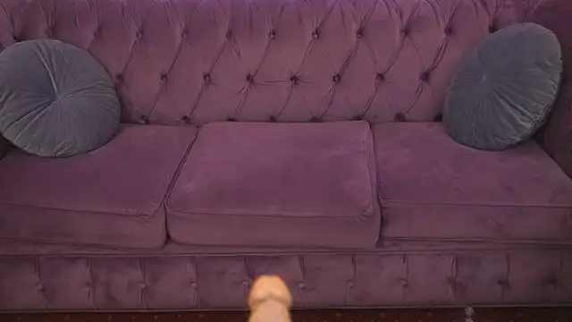 Daisy Delight online show from 03.04.25