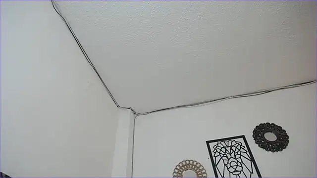 paytonbailey online show from 03.04.25