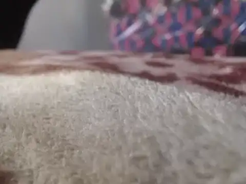 hoittytoittyxx online show from 03.03.25