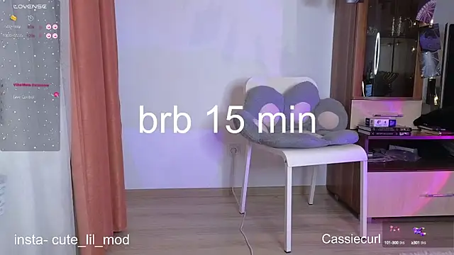 Snapshot of art_phoenix chatting on 02.28.25 art phoenix online show from 02.28.25