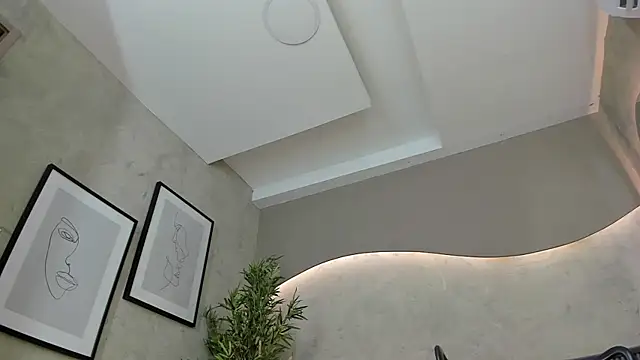 Will Hendrix online show from 01.15.25