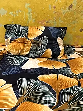 Shilpa didi online show from 03.12.25