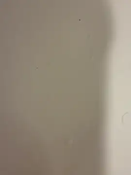 Serkan3356 online show from 02.09.26