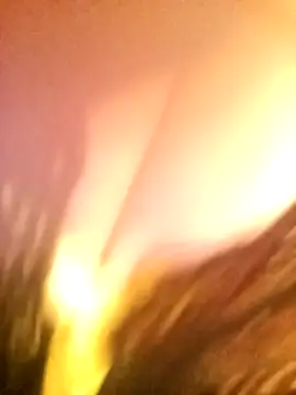 JAWHARA  online show from 12.14.25