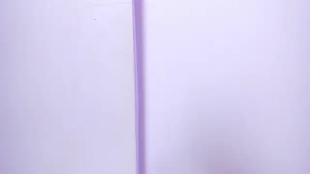 celestelewis online show from 02.27.25