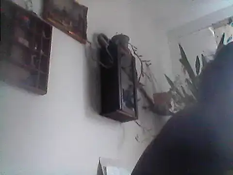 Bigpenis6y online show from 12.29.24