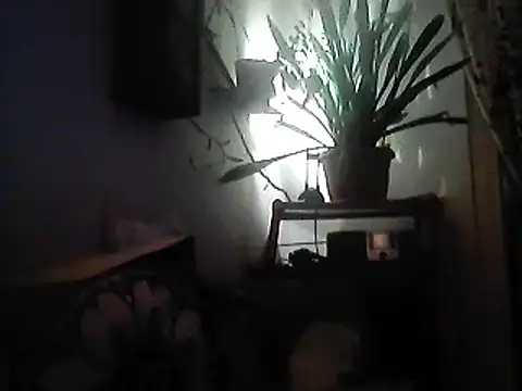 Bigpenis6y online show from 12.30.24