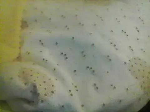 Bigpenis6y online show from 01.24.25