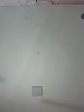 Snapshot of kiim_taaylor chatting on 02.25.26 kiim taaylor online show from 02.25.26