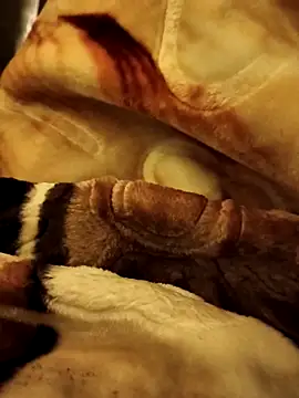 yhona darling online show from 12.16.25