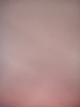 bustybillies online show from 01.06.26