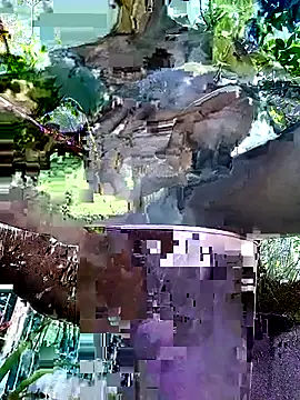 Snapshot of gwadaa9 chatting on 12.22.25 gwadaa9 online show from 12.22.25