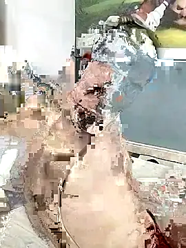 aliancagrafica2 online show from 10.18.25