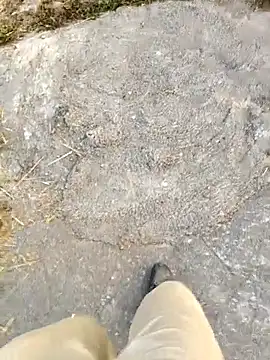 Snapshot of Ishan003 chatting on 02.05.26 Ishan003 online show from 02.05.26