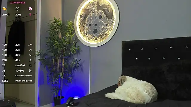 Snapshot of jordan_mayers02 chatting on 12.03.25 jordan mayers02 online show from 12.03.25