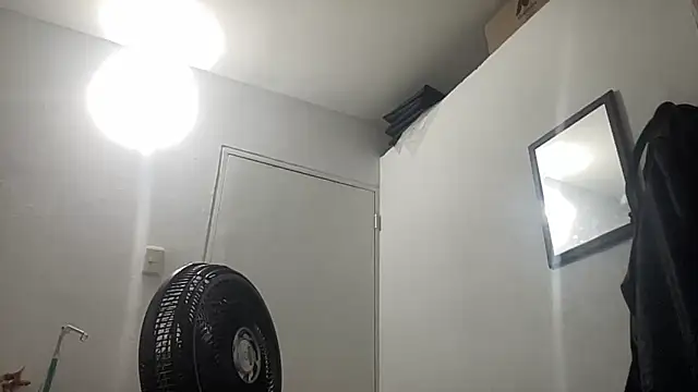 EvaHalsey online show from 01.06.26