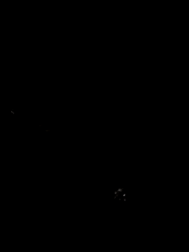 cindy damm online show from 04.24.26