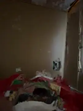 kingsantosblessed online show from 03.05.26