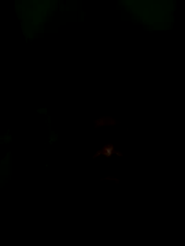 Snapshot of Long_Laster chatting on 02.12.26 Long Laster online show from 02.12.26