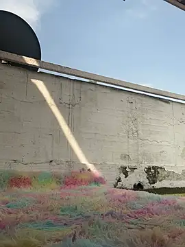 suzanelee online show from 03.10.25