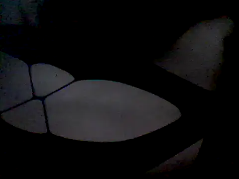 luniaitaliax3 online show from 01.07.25