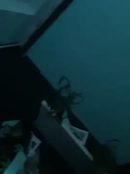 Snapshot of big_cock_is_back chatting on 12.29.24 big cock is back online show from 12.29.24