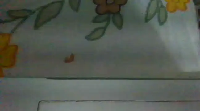 biggest lund  online show from 12.28.24