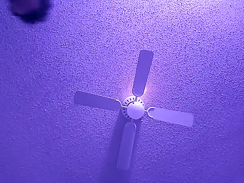 big8dall online show from 09.24.25